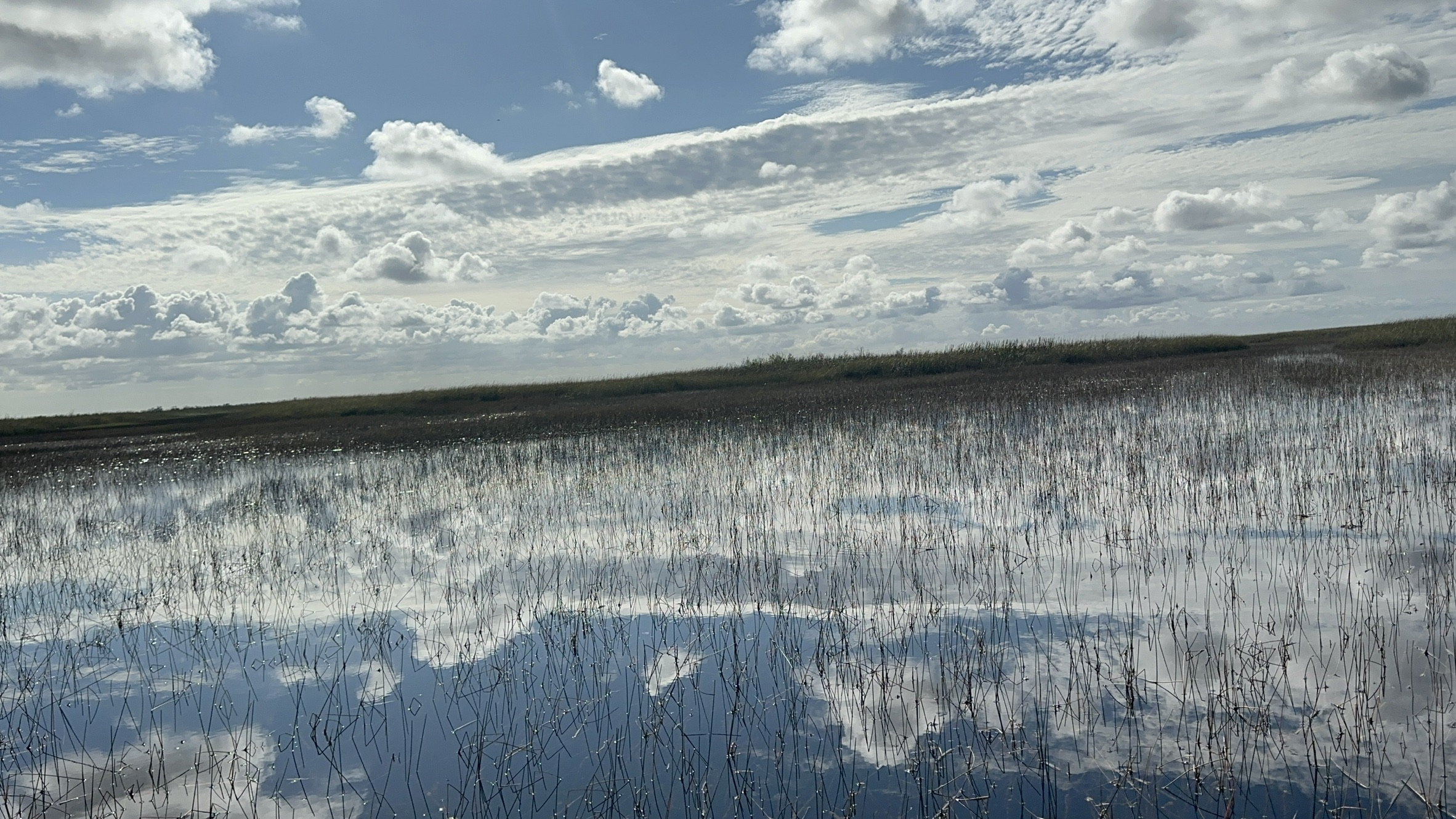 Everglades Alligator Farm